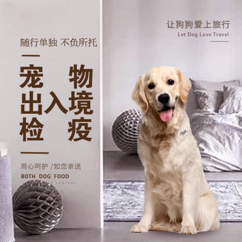 淄博市宠物托运到哥伦比亚猫狗宠物入境规定和