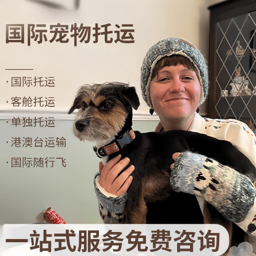 淄博市国际宠物托运到阿根廷宠物入境规定和要