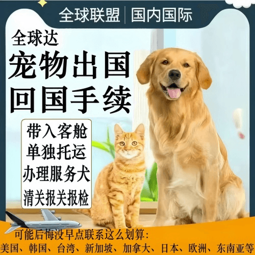 淄博市宠物托运到柬埔寨宠物入境规定和要求