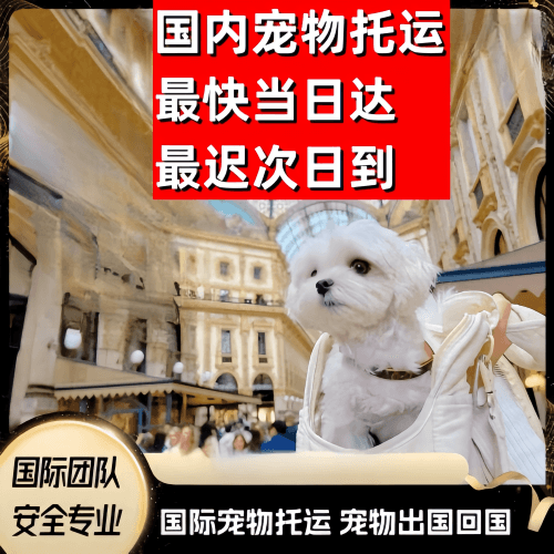 淄博市到澳大利亚（澳洲）宠物入境规定和要求